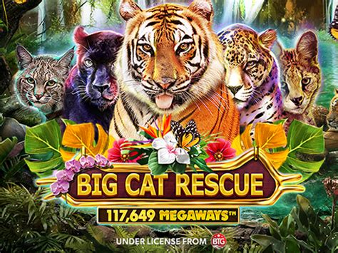 Big Cat Rescue Megaways PokerStars